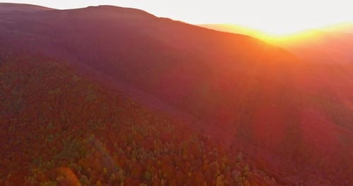Aerial View of Forest and Mountains at Sunset