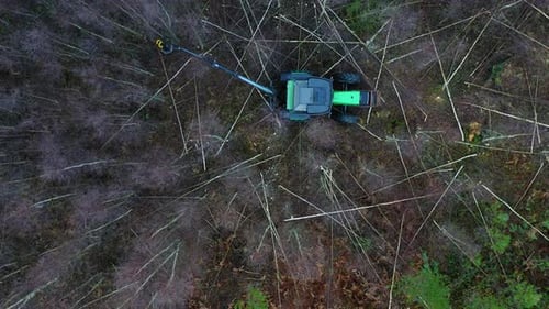 Vogelperspektive eines grünen Traktors beim Fällen von Bäumen im Wald