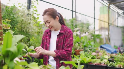 4K Asian man plant shop owner teaching woman employee caring plants and flowers
