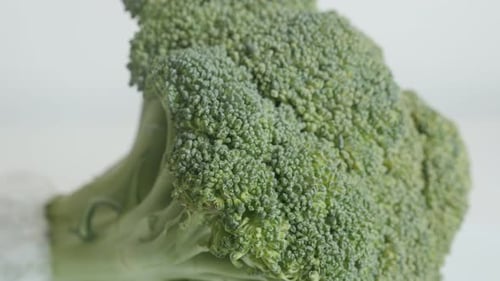 Healthy green broccoli Brassica oleracea 4K footage