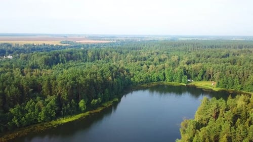 Lac White