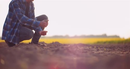 Soil, Agriculture, - Farmer Hands Holding and Pouring Back Organic Soil. Farmer Touching Dirt on