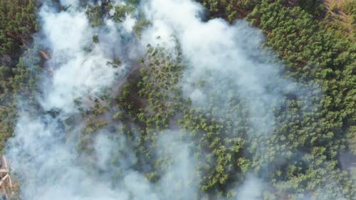 Aerial View of Wildfire in Forest. Burning Forest and Huge Clouds of Smoke.