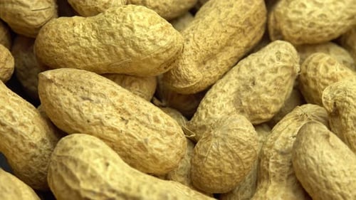 Close-up Footage of Peanuts in Shells