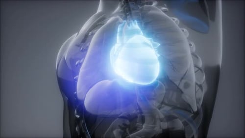 Examen de radiologie cardiaque humaine