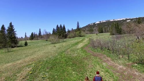 Visão geral do cenário selvagem