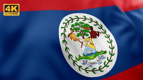 Belize National Flag Waving Animation Loop