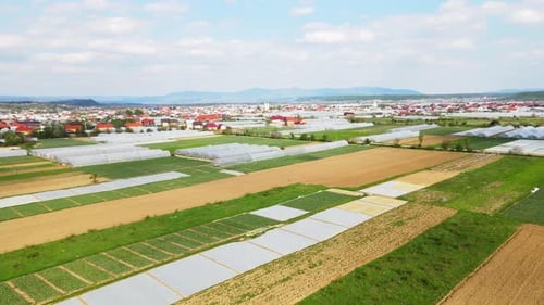 Aerial View of Greenhouses and Agricultural Fields