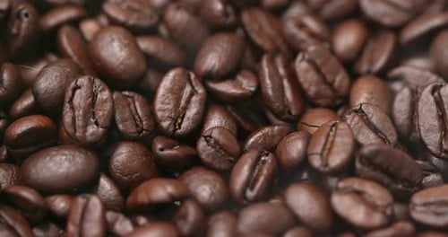 Roasted coffee bean