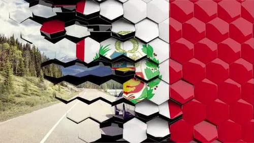 Hexagonal Grid Reveal Transition