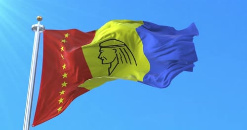 Stylized Three-Color Flag with Stars and Profile Waving Seamlessly