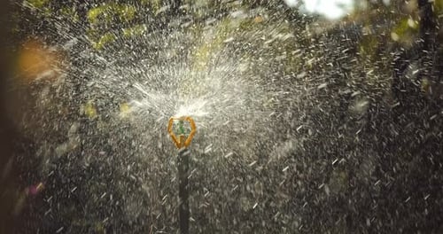 Sprinkler Head Watering Green Grass Lawn