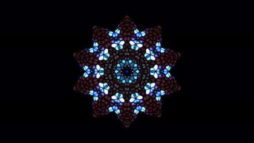 animated flower shape of multicolor flashing lights, on a black background