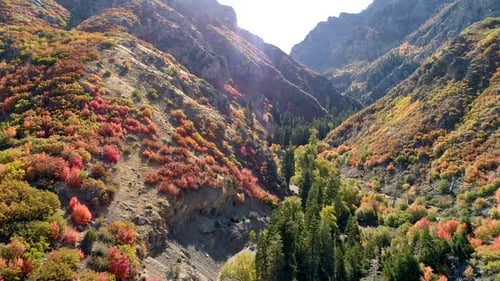 Flying through canyon during Fall as road winds up