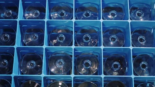 Get the Box with Clean Glasses From a Professional Dishwasher