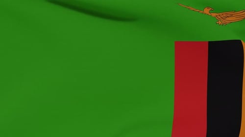 Waving Flag of Zambia on Green Background