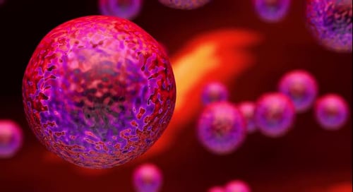 Abstract Cellular Organisms Movement Animation