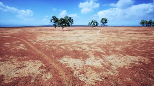 Moving Across a Vast Dry Red Earth Landscape with Scattered Trees