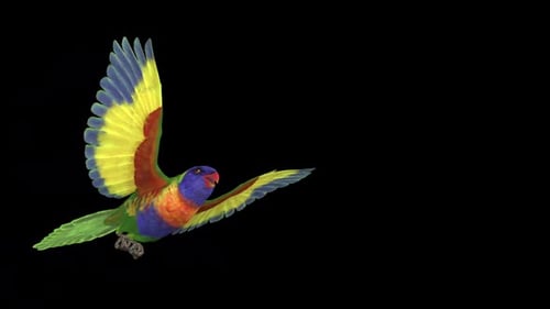 Vibrant Realistic Parrot Flying with Alpha Channel