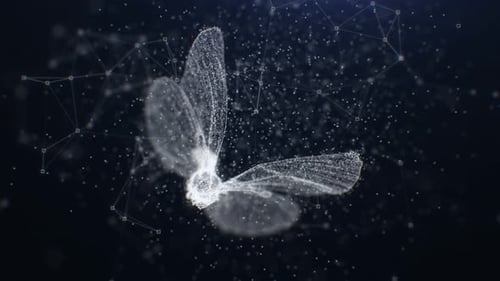 Mariposa Plexus 4K
