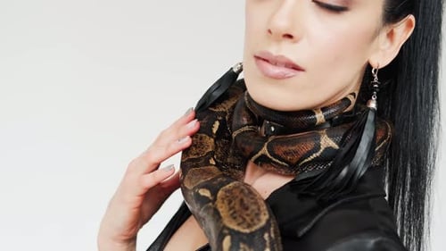 Vue rapprochée de la tête du serpent sur les mains d'une femme