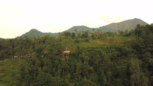 Jatiluwih Rice Terraces on Bali, View From Above. Aerial Drone Footage