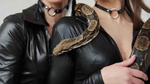 Deux femmes sexy en latex noir debout dans un studio blanc avec un serpent sur le cou