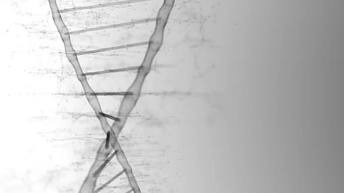 Black Dna Strand Slowly Rotating on the White Background in Science Concept