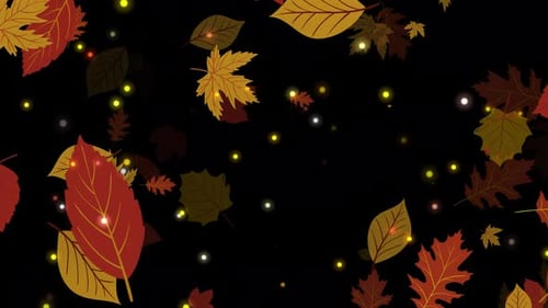 Leaf Falling Overlays