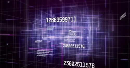 White numbers changing and data processing over glowing purple grid on black background