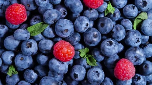 Close Up of Fresh Berries and Mint