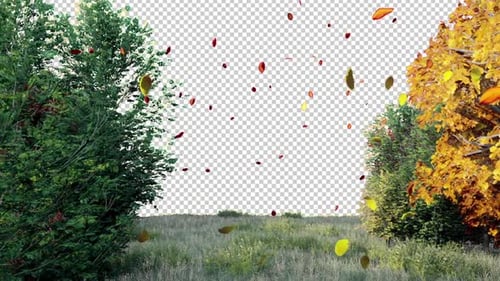 Autumn With Alpha Channel