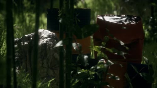 Rusty Barrels in Green Forest