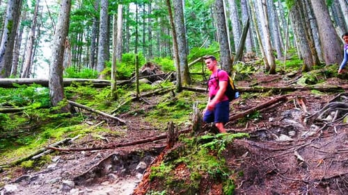 Hiker couple hiking in forest
