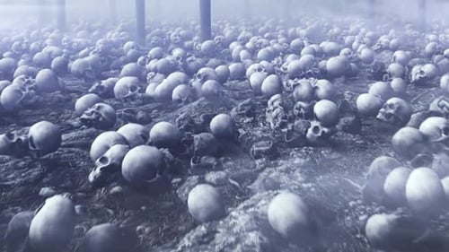 Grim Battlefield of Skulls in Foggy Forest