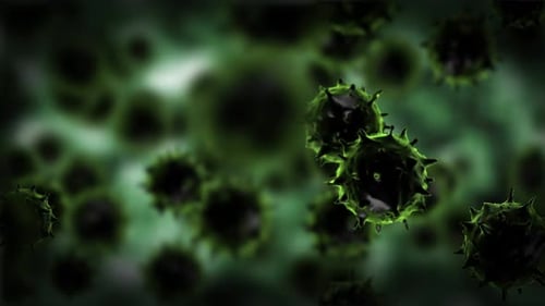 Corona Virus