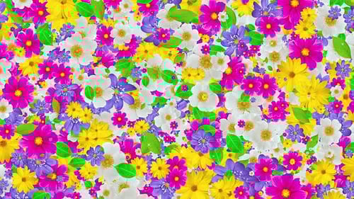 Fondo de flores coloridas 4K