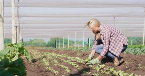 Blonde Woman Gardening on Farm Under Mesh Structure