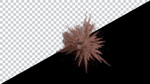 Realistic Brown Powder Explosion Dynamic VFX Effect