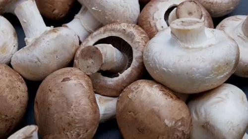 Pile of White and Brown Button Mushrooms Rotating