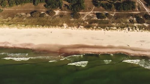 AERIAL: Reveal shot of the green pine forest near Baltic Sea