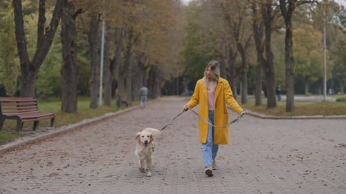 Woman Using Leash for Walking with Her Dog at Park