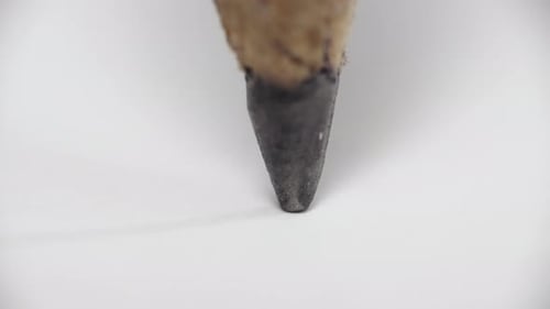 Drawing With A Pencil Close Up