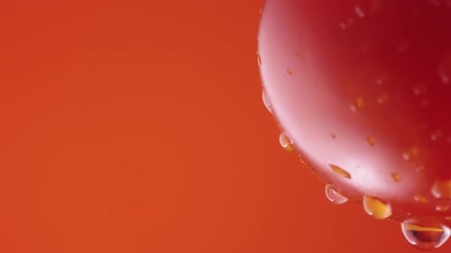 Ripe Tomato in Drops of Water on a Red Studio Background