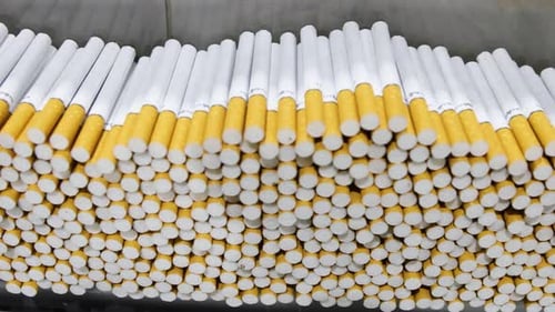 Lots of cigarettes with a yellow filter on the line