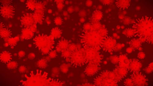 Floating Red Virus Cells Medical Science Animation