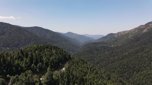 Wald-Berge