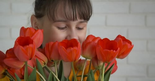 Smiling Girl with Red Tulips Bouquet