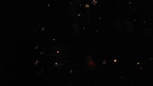 Colorful Fireworks Explode in the Night Sky