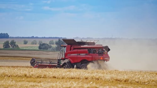 Combine harvesting golden wheat. Landscape view of modern combine harvester in action